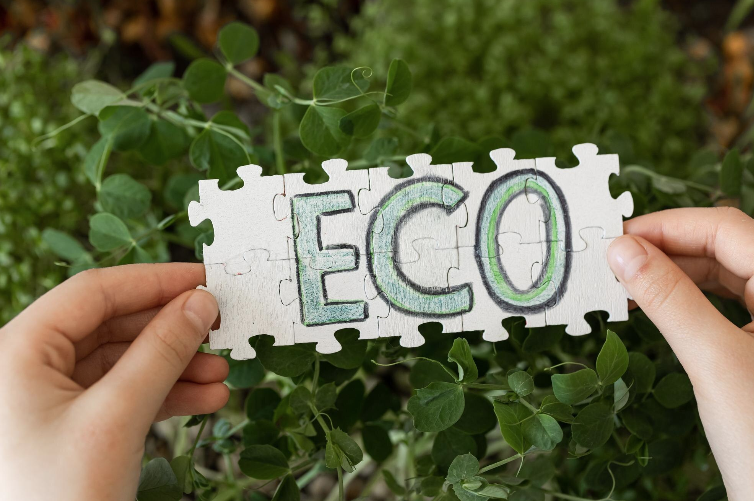Ser una empresa comprometida con el medio ambiente implica un cambio a todos los niveles para aplicar las buenas prácticas al día a día empresarial